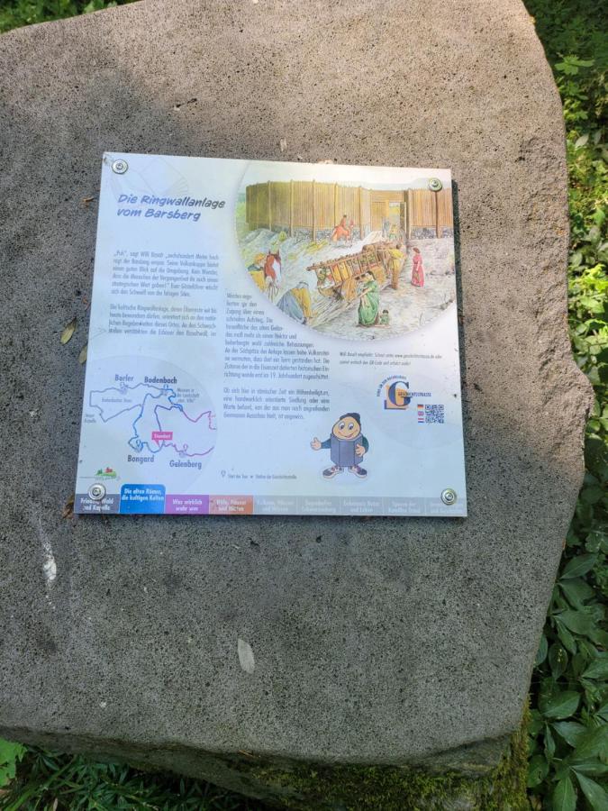 הוילה Bongard Waldhaus Nearby Nuerburgring מראה חיצוני תמונה